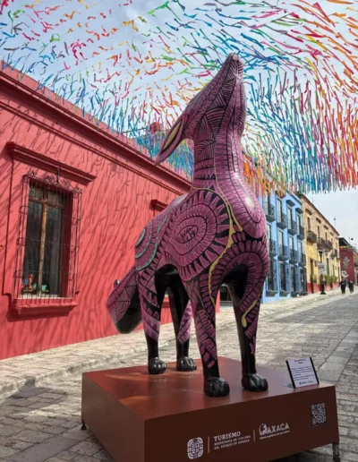 Oaxaca centro